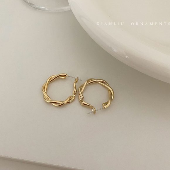 💙Golden Twist Hoops Earrings - Picture 5 of 10